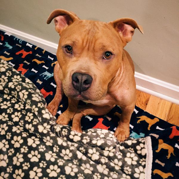 /Images/uploads/Humane Society of Utah/HSUCalendar/entries/1108thumb.jpg